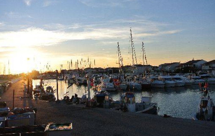 Location de vacances - Appartement à Saintes-Maries-de-la-Mer