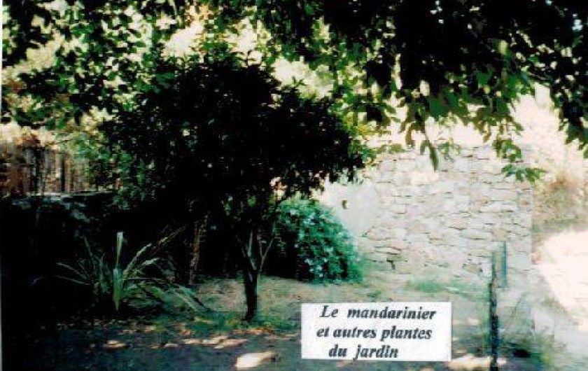 Location de vacances - Maison - Villa à Lavatoggio