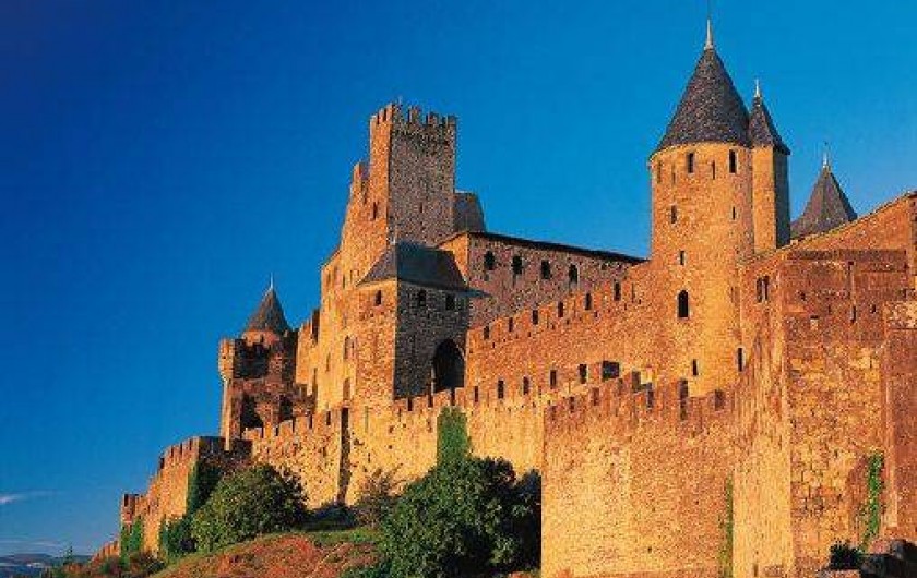 Location de vacances - Gîte à Cazalrenoux