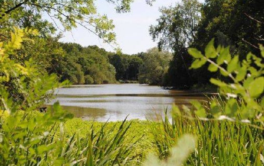 Location de vacances - Gîte à Mesland