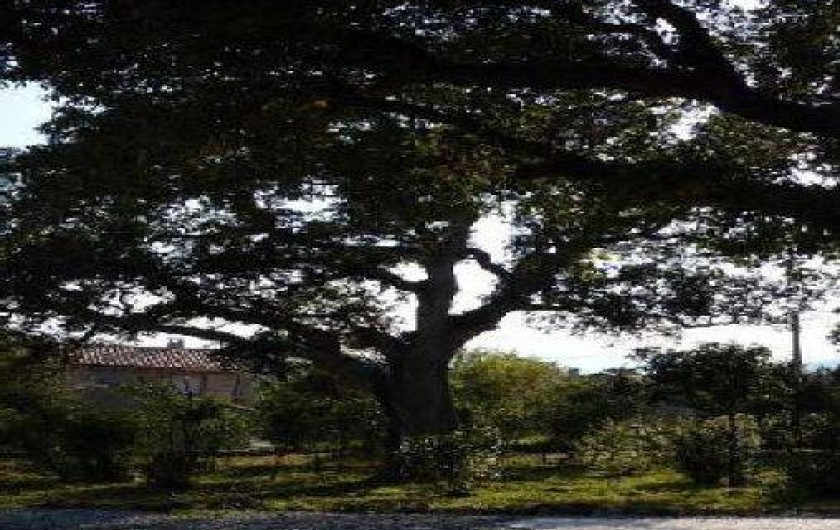 Location de vacances - Maison - Villa à Lecci