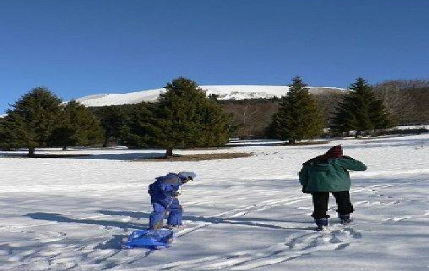 Location de vacances - Appartement à Saint-Théoffrey