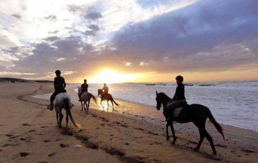 Location de vacances - Appartement à Folelli