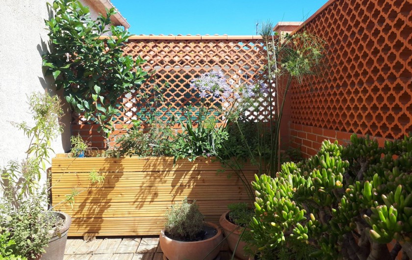Location de vacances - Appartement à Perpignan