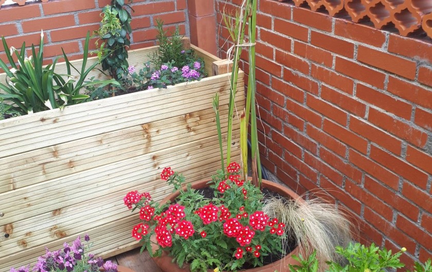 Location de vacances - Appartement à Perpignan