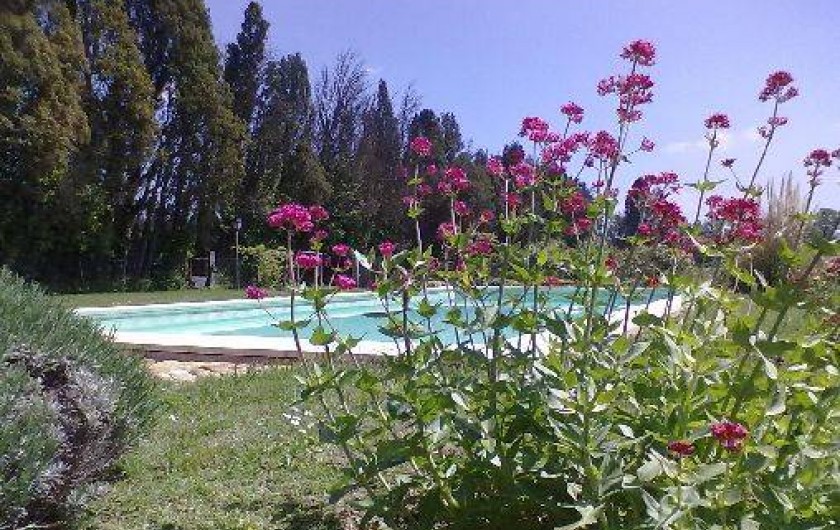 Location de vacances - Maison - Villa à Saint-Rémy-de-Provence