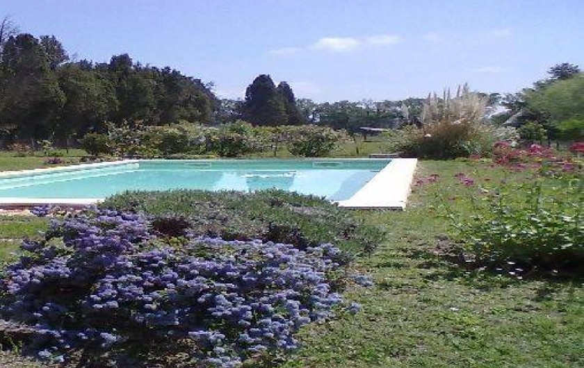 Location de vacances - Maison - Villa à Saint-Rémy-de-Provence