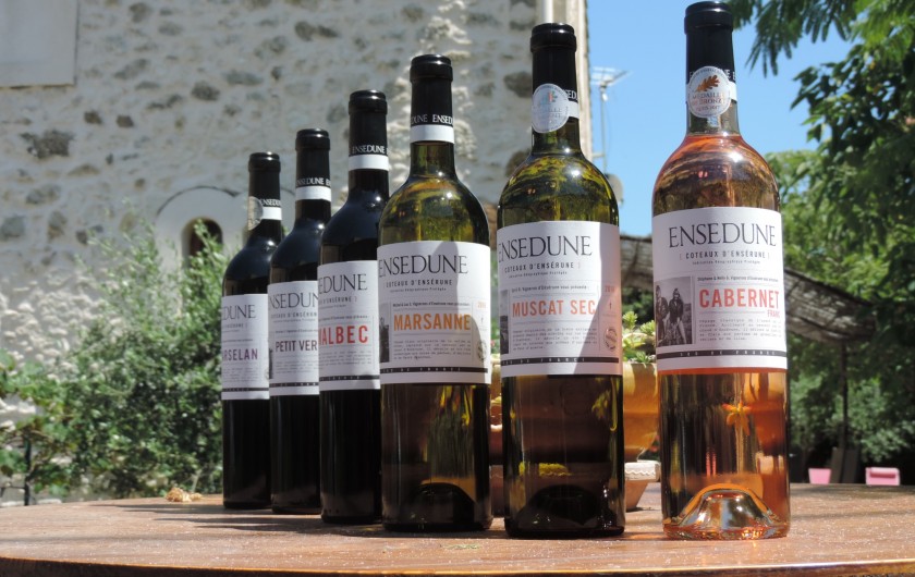 Location de vacances - Gîte à Sallèles-d'Aude - Vin