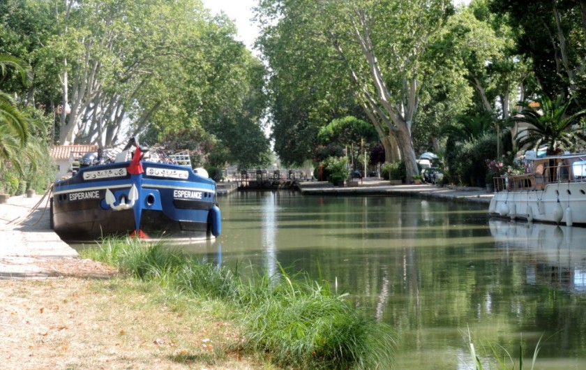 Location de vacances - Gîte à Sallèles-d'Aude - Canal