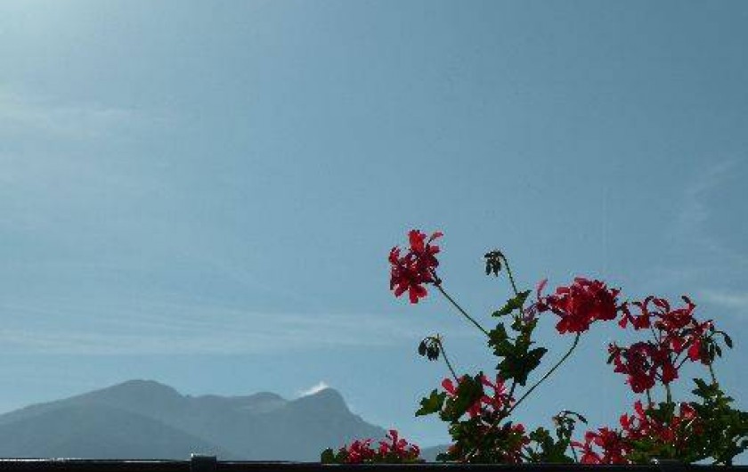 Location de vacances - Gîte à Saléchan