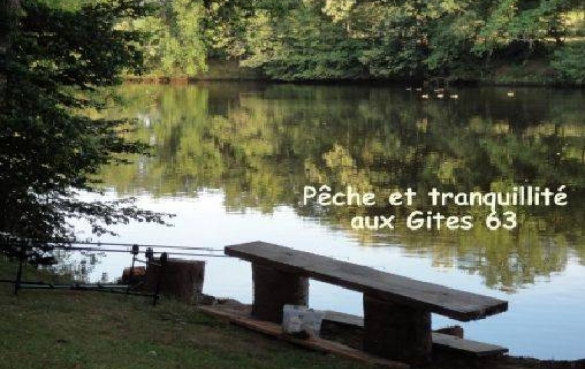 Location de vacances - Gîte à Lapeyrouse