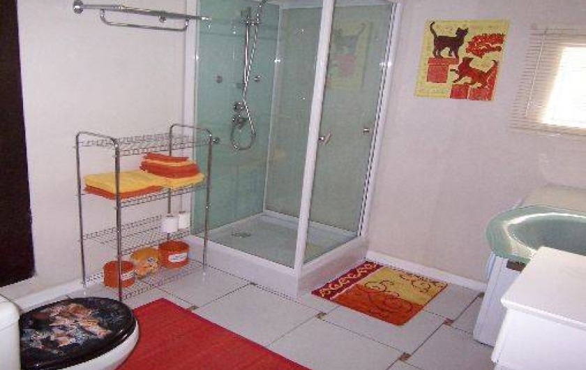 Location de vacances - Gîte à Lapeyrouse - Douche à jets multiple