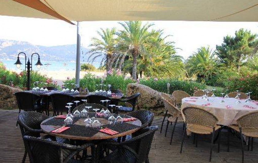 Location de vacances - Studio à Porto-Vecchio