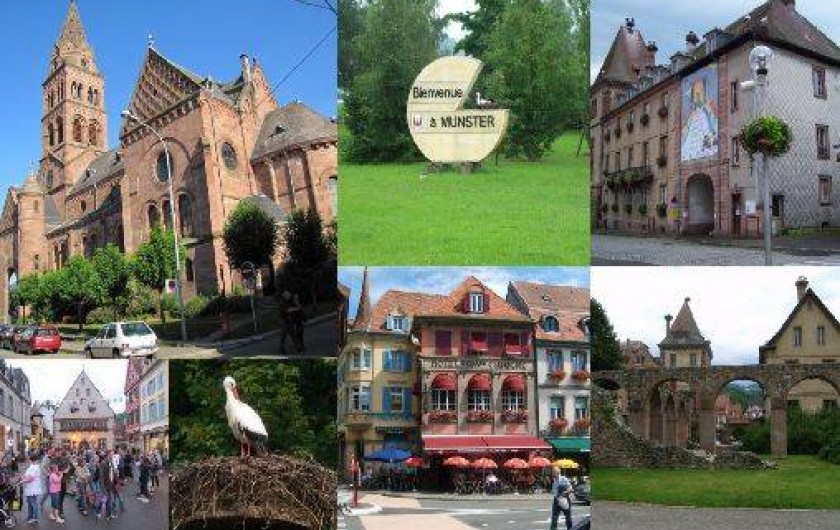 Location de vacances - Appartement à Munster