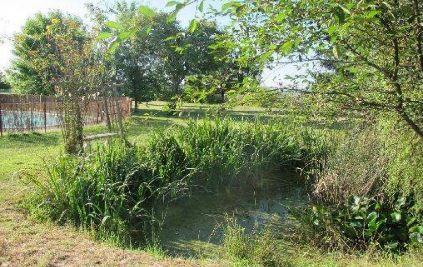 Location de vacances - Gîte à Chissay-en-Touraine