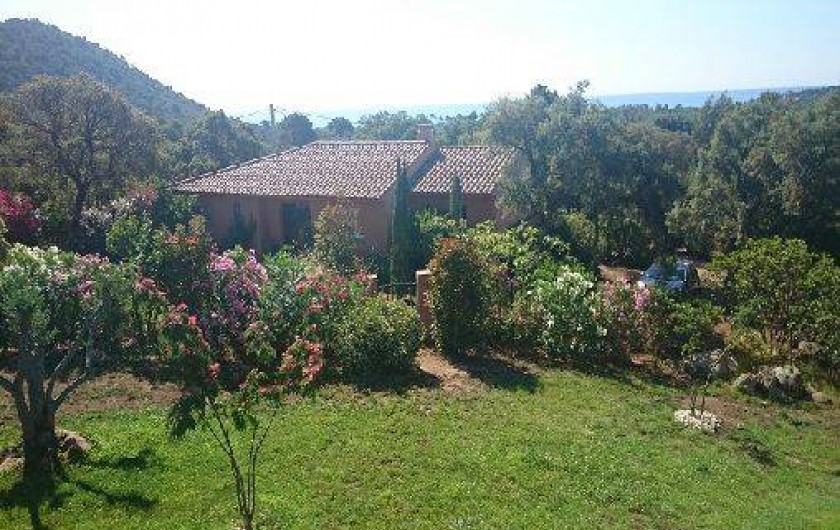 Location de vacances - Villa à Sainte-Lucie de Porto-Vecchio