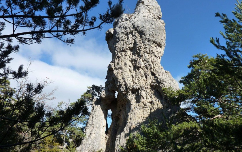 Location de vacances - Camping à Rivière-sur-Tarn