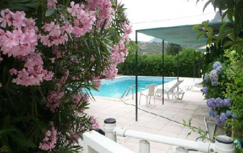 Location de vacances - Maison - Villa à Calenzana