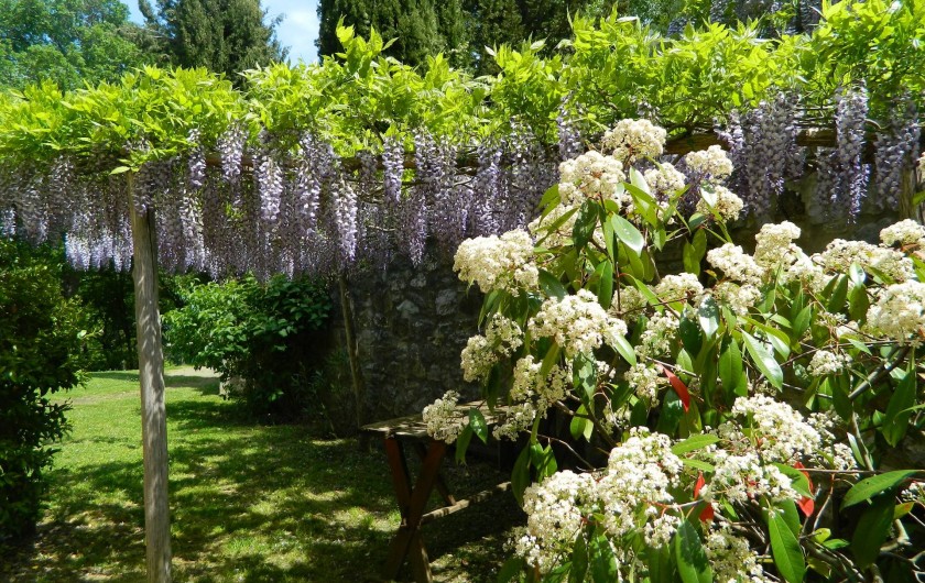 Location de vacances - Gîte à Campiglia D'orcia - un angolo dell'aia