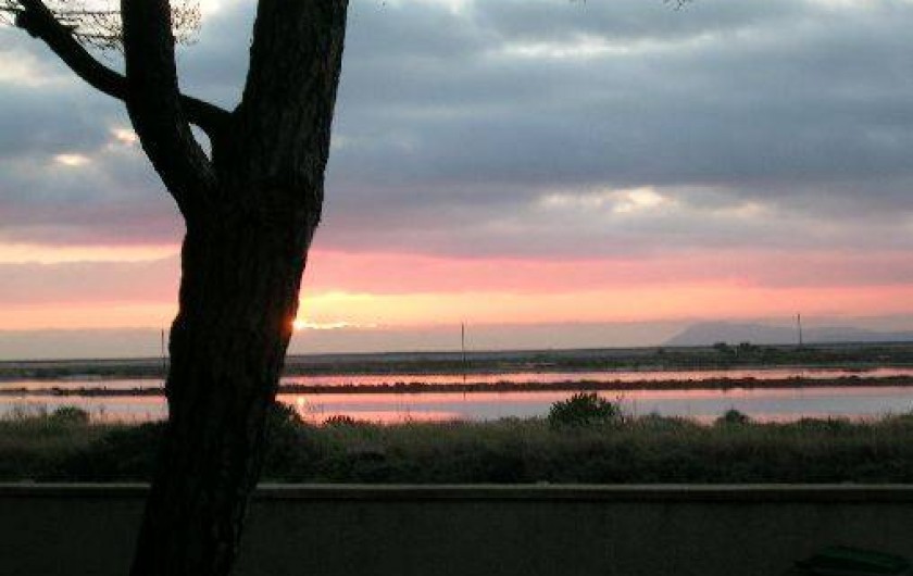 Location de vacances - Appartement à Hyères