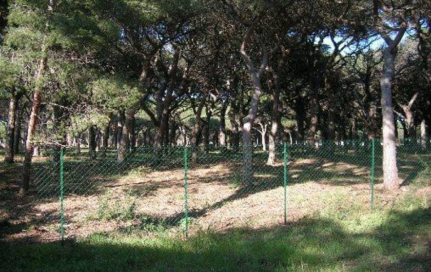 Location de vacances - Appartement à Hyères