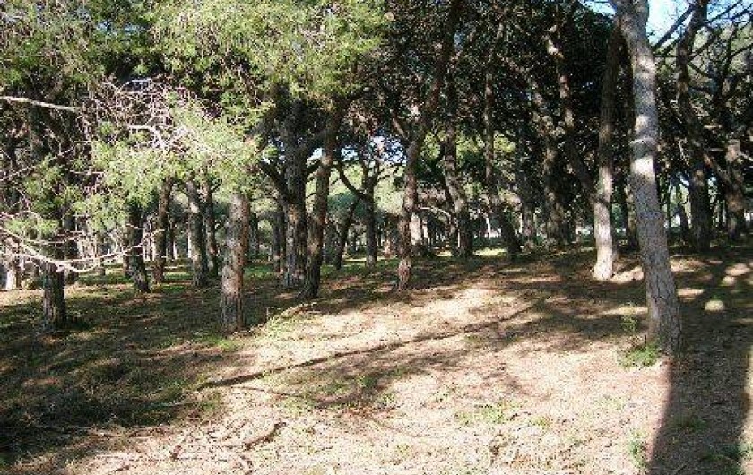 Location de vacances - Appartement à Hyères