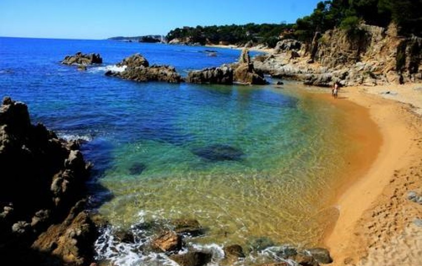 Location de vacances - Appartement à Mandelieu-la-Napoule