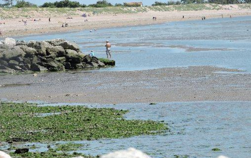 Location de vacances - Appartement à Aytré