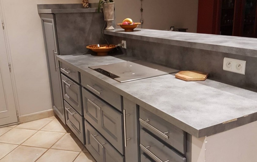 Location de vacances - Mas à L'Isle-sur-la-Sorgue