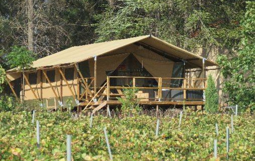 Location de vacances - Insolite à Laure-Minervois