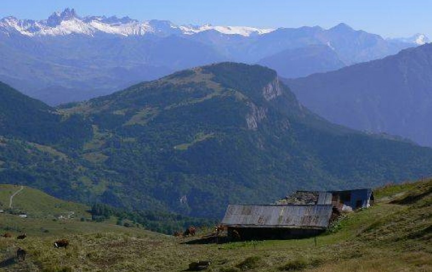 Location de vacances - Studio à Saint-François-Longchamp