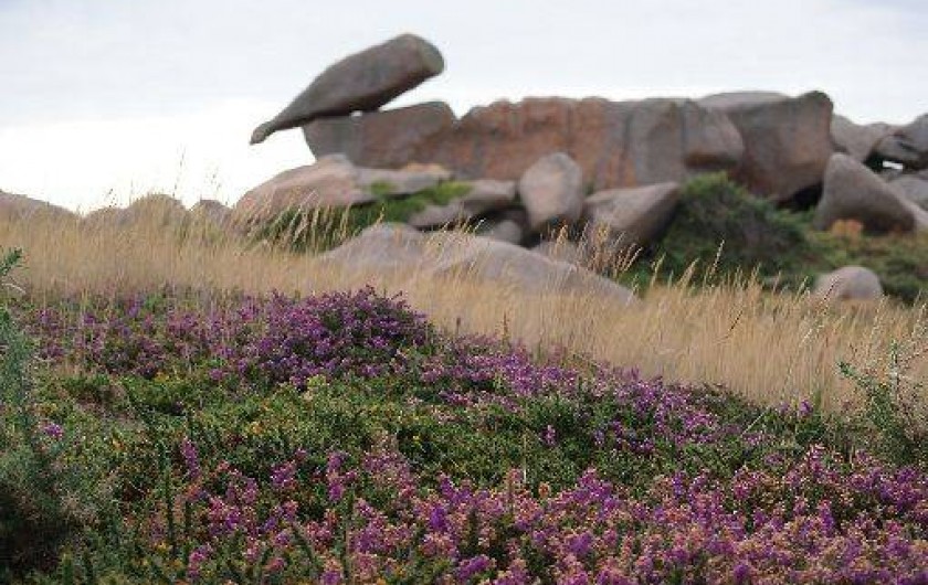 Location de vacances - Maison - Villa à Pommerit-Jaudy