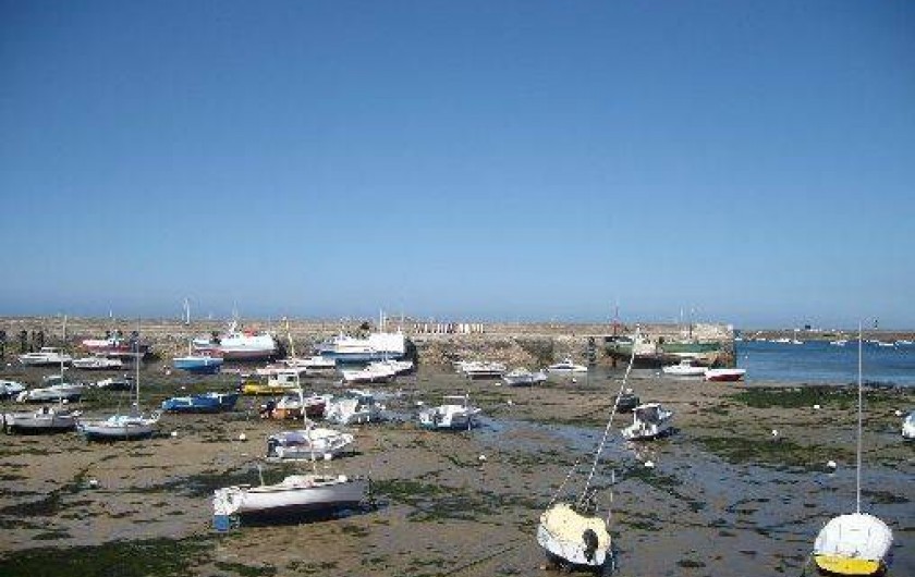 Location de vacances - Maison - Villa à Roscoff