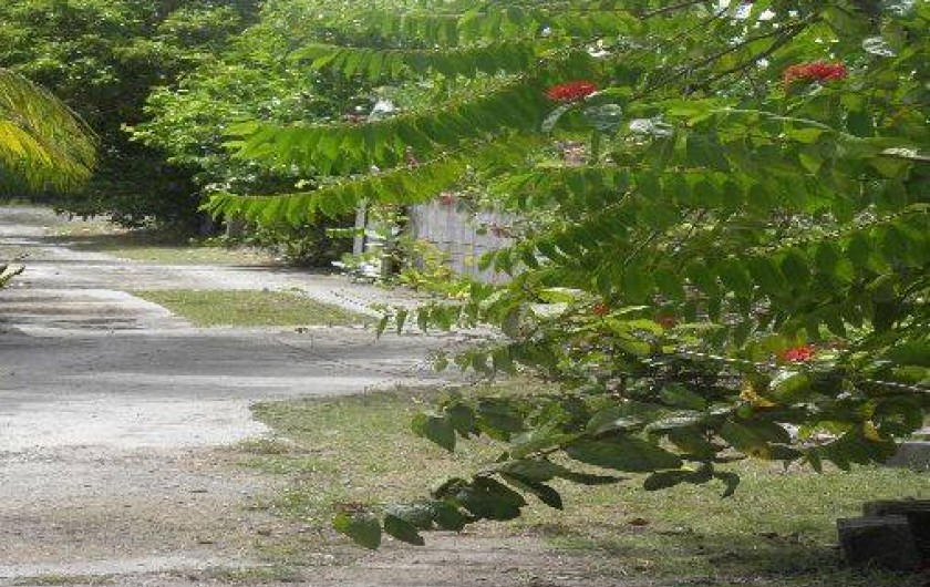 Location de vacances - Appartement à Le Moule