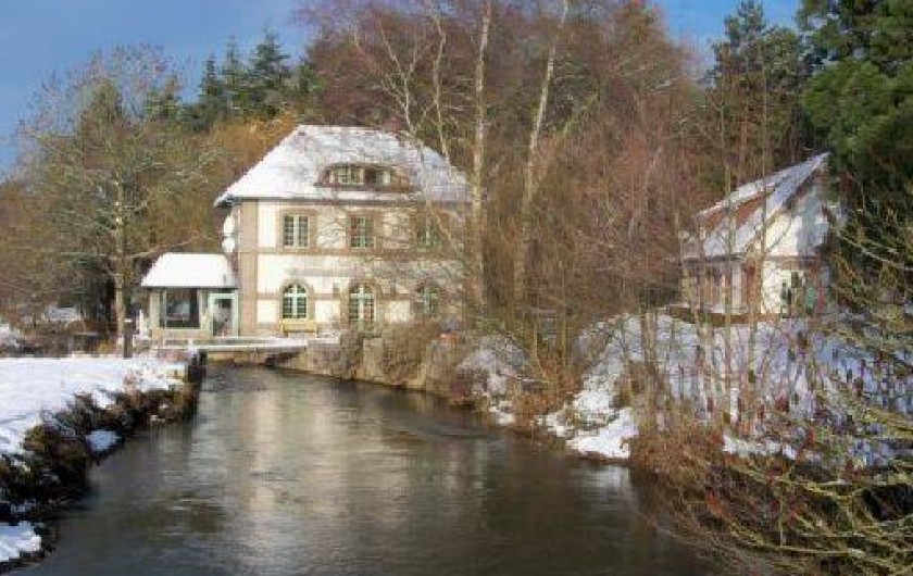 Location de vacances - Chambre d'hôtes à Longueil
