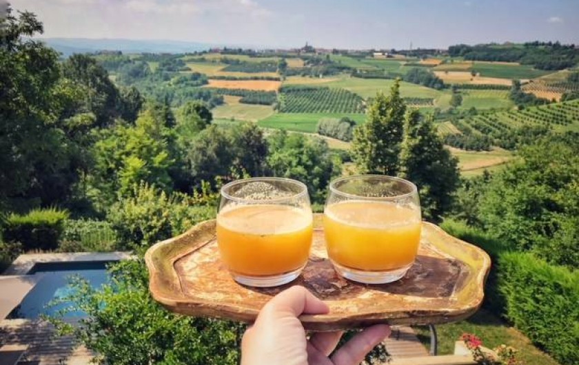 Location de vacances - Chambre d'hôtes à Govone - piscine et vue