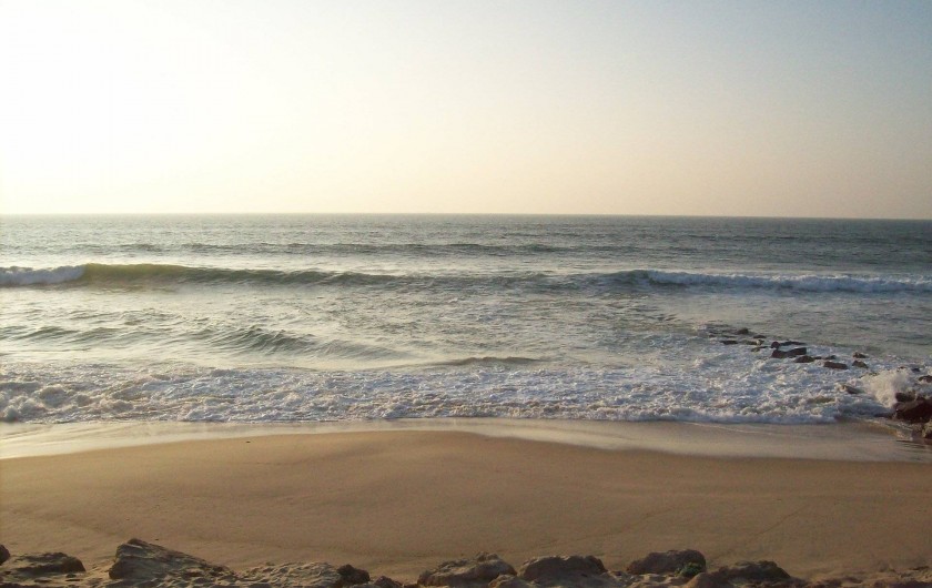 Location de vacances - Maison - Villa à Lacanau Océan - La plage à 2,5 km
