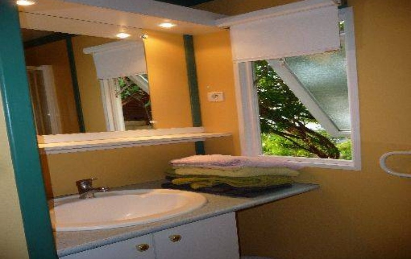 Location de vacances - Chalet à Saint-Leu - salle de bain vue jardin