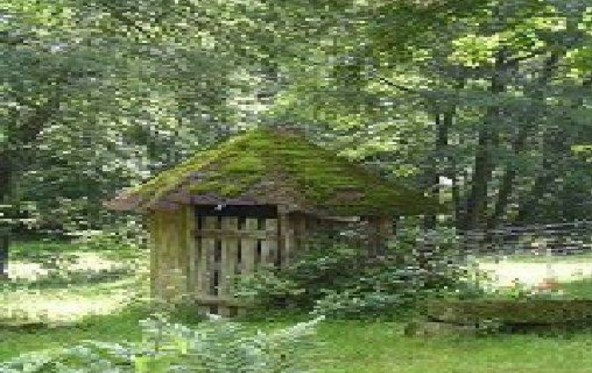 Location de vacances - Gîte à Lièpvre