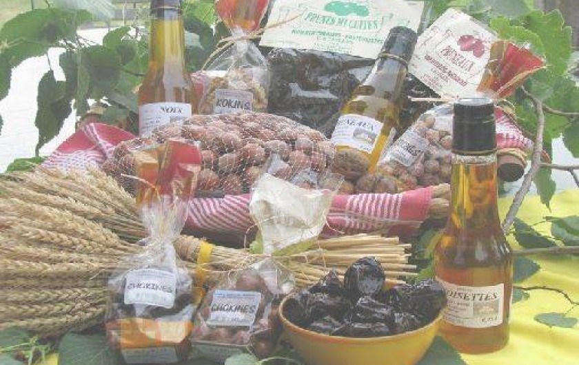 Location de vacances - Gîte à Hautefage-la-Tour