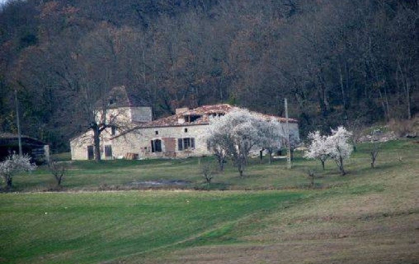 Location de vacances - Gîte à Hautefage-la-Tour