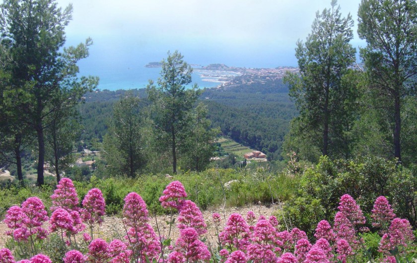 Location de vacances - Appartement à Sanary-sur-Mer - SANARY - C'est aussi un arrière-pays très verdoyant où il fait bon randonner