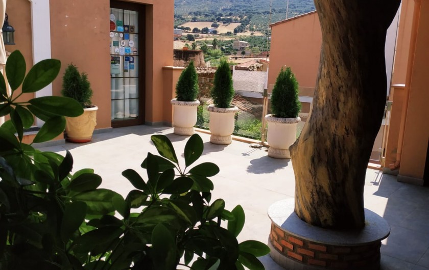 Location de vacances - Gîte à Siruela - Solarium-terraza de LAS ENCINAS