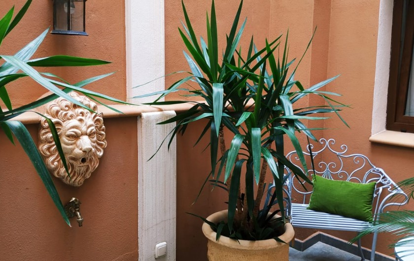 Location de vacances - Gîte à Siruela - Fuente en el patio pequeño