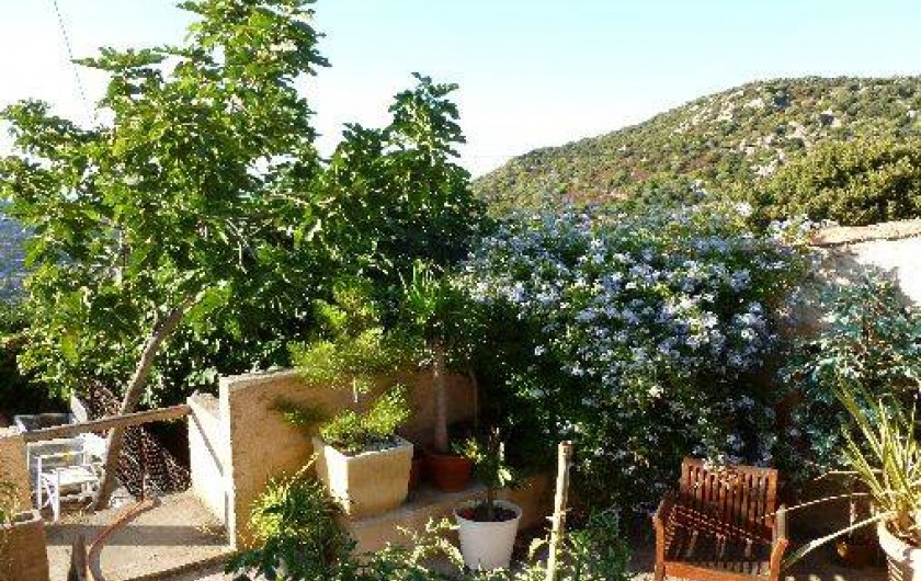 Location de vacances - Villa à Santa-Reparata-Di-Balagna