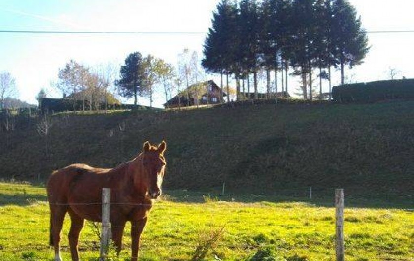Location de vacances - Chalet à Montlebon