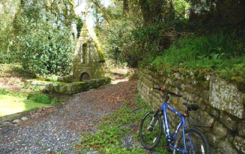 Location de vacances - Gîte à Guémené-sur-Scorff