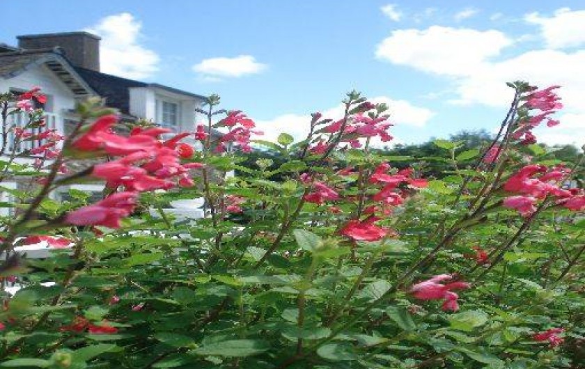 Location de vacances - Gîte à Saint-Jouan-des-Guérets