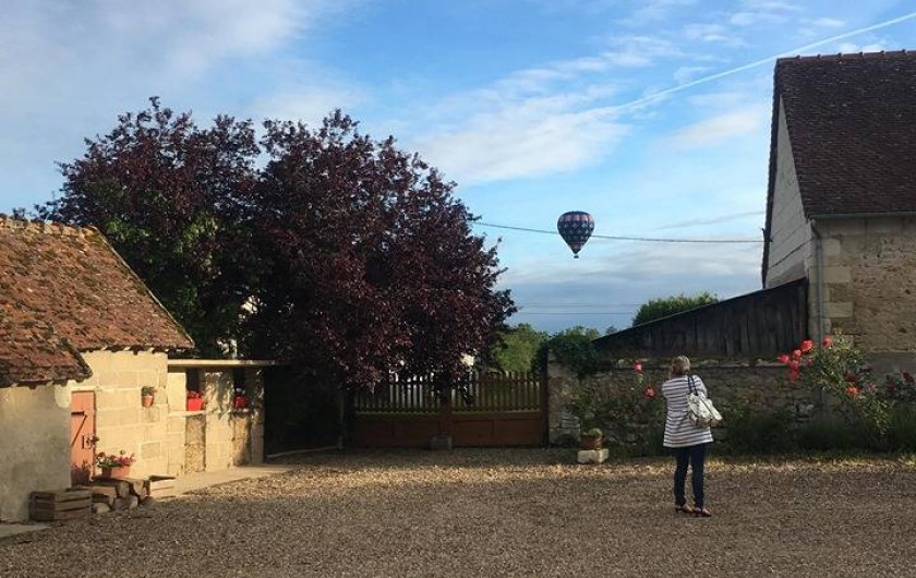 Location de vacances - Gîte à Angé - Exemple de vue devant le logement
