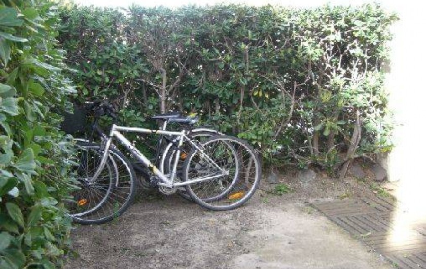 Location de vacances - Studio à Agde